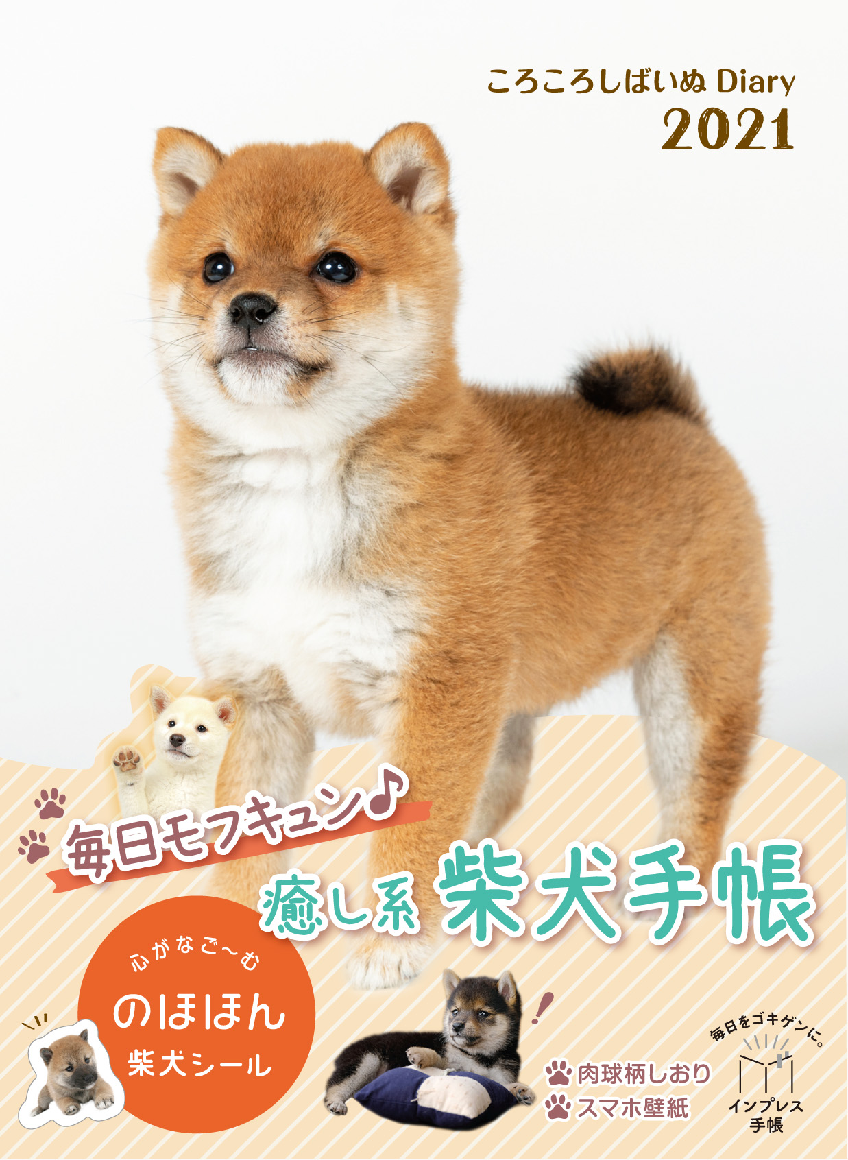 ころころしばいぬDiary 2021