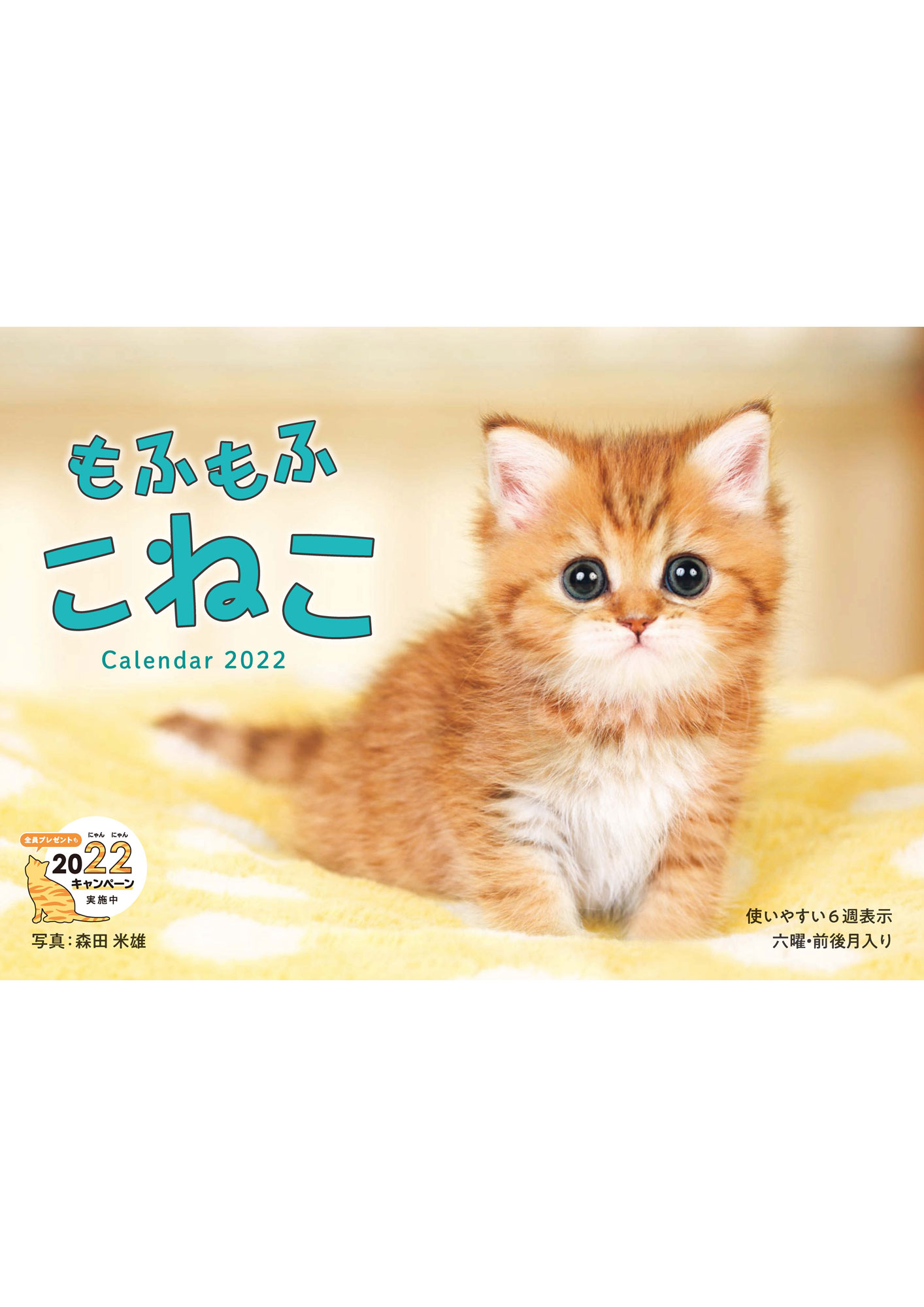 驚きの価格 こねこ クラフト/布製品 - correagua.com